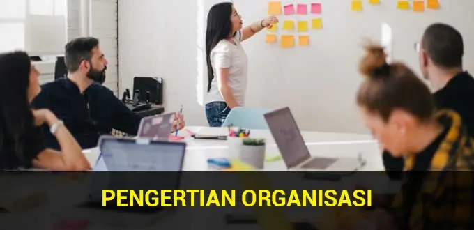 definition of an organization according to experts